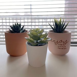 Assorted ceramic pots and decorative plants